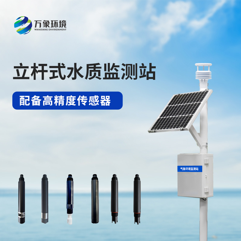 1736392199115321.jpg 3.jpg