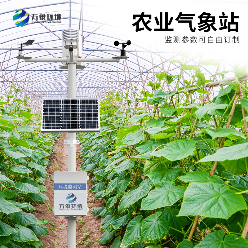 農(nóng)業(yè)智能小型氣象站 農(nóng)業(yè)智能小型氣象站/