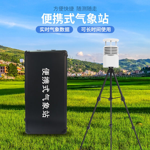 便攜式氣象五參數(shù)檢測儀 便攜式氣象五參數(shù)檢測儀